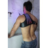 Breedwell Harnais lumineux Soundwave Synergy Breedwell